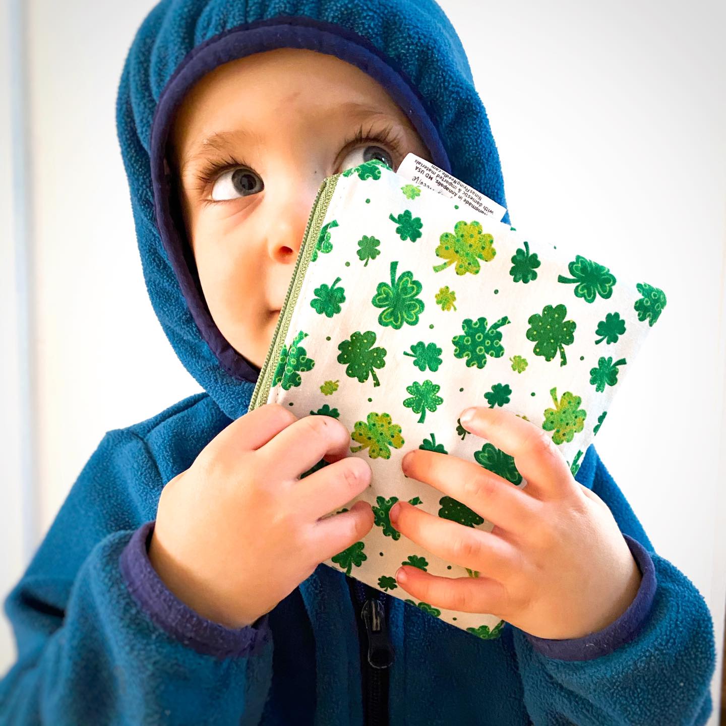 Toddler Sized Reusable Zippered Bag Floral Combo Print