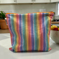 Gallon Sized Reusable Zippered Bag Stripes Rainbow