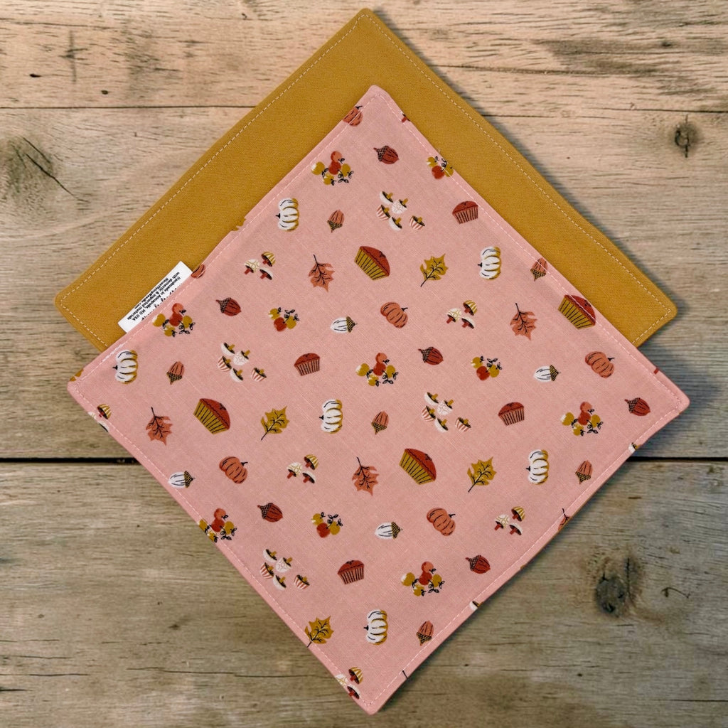 Reusable Napkins - Pumpkin Pie Fall