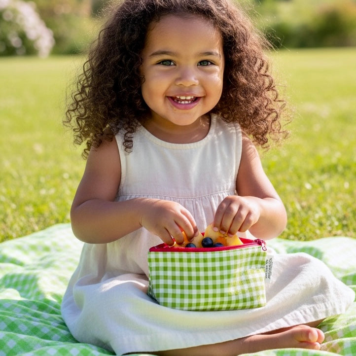 Knick Knack Sized Reusable Zippered Bag Gingham Green
