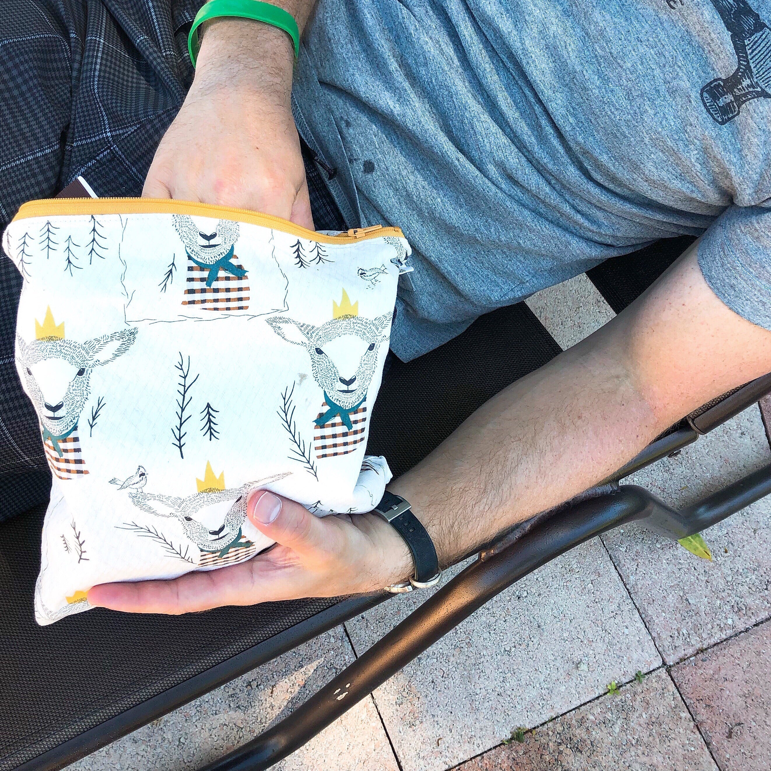 Gallon Sized Reusable Zippered Bag Airplanes