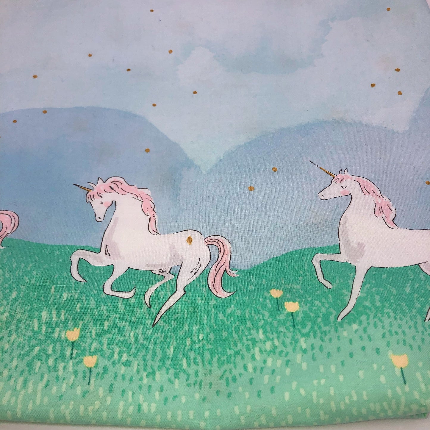 Children's Library Sized Reversible Tote Magical Unicorns
